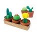AM IC4CBMC: Amos I-Clay Set - Mini Cactus Kit